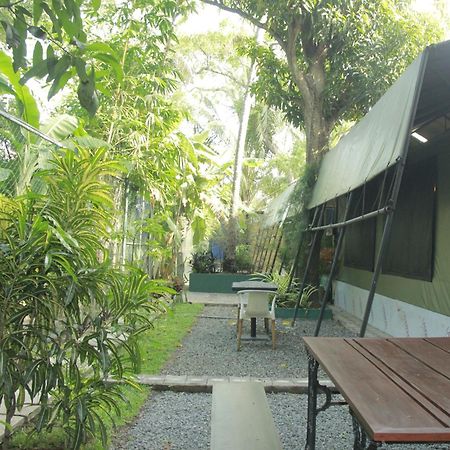 Traveler'S Haven Hostel At Colombo Intl Airport Katunayaka Eksteriør bilde